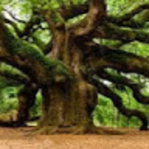 Meet your Posher, Nathan